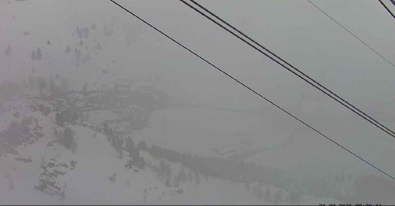 Webcam Passo San Pellegrino-Falcade  - Passo San Pellegrino