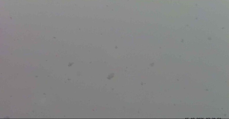 Webcam Passo San Pellegrino-Falcade - Marmolada