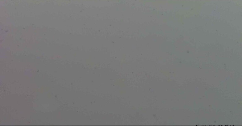 Webcam Passo San Pellegrino-Falcade  - Marmolada