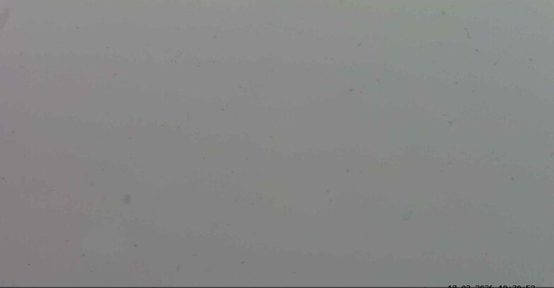 Webcam Passo San Pellegrino-Falcade - Marmolada