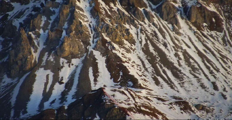 Webcam Passo San Pellegrino-Falcade  - Seggiovia Cima Uomo