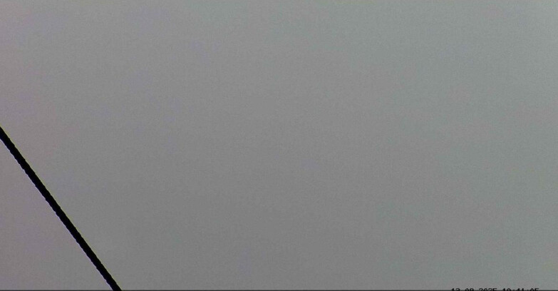 Webcam Passo San Pellegrino-Falcade  - Seggiovia Cima Uomo