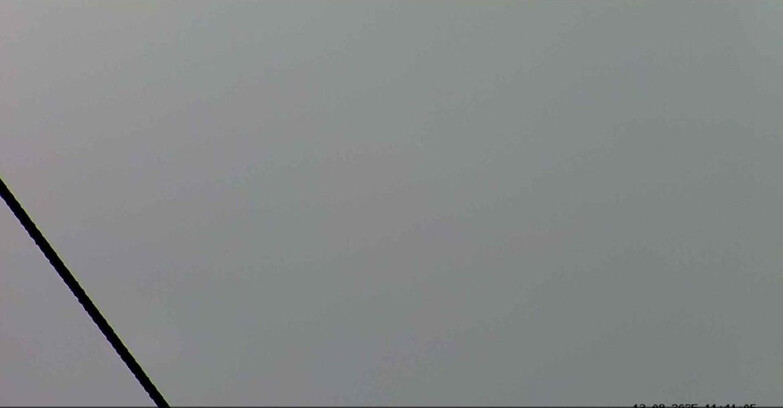 Webcam Passo San Pellegrino-Falcade  - Seggiovia Cima Uomo