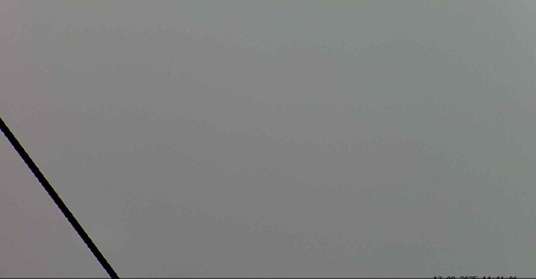 Webcam Passo San Pellegrino-Falcade  - Seggiovia Cima Uomo