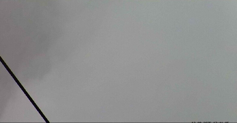 Webcam Passo San Pellegrino-Falcade  - Seggiovia Cima Uomo