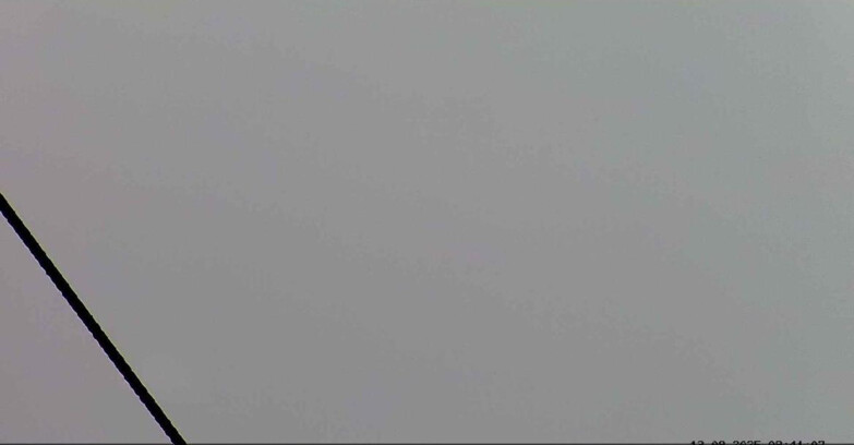 Webcam Passo San Pellegrino-Falcade  - Seggiovia Cima Uomo