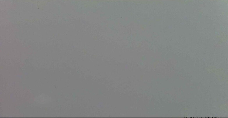 Webcam Passo San Pellegrino-Falcade  - Seggiovia Cima Uomo