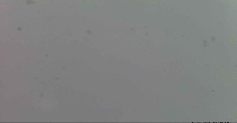 Webcam Passo San Pellegrino-Falcade  - Seggiovia Cima Uomo