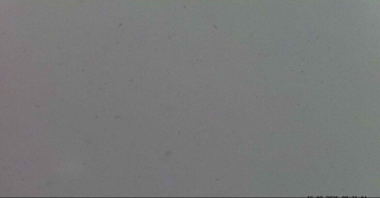 Webcam Passo San Pellegrino-Falcade  - Seggiovia Cima Uomo