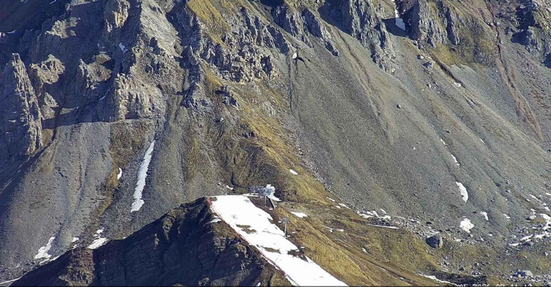 Webcam Passo San Pellegrino-Falcade  - Seggiovia Cima Uomo