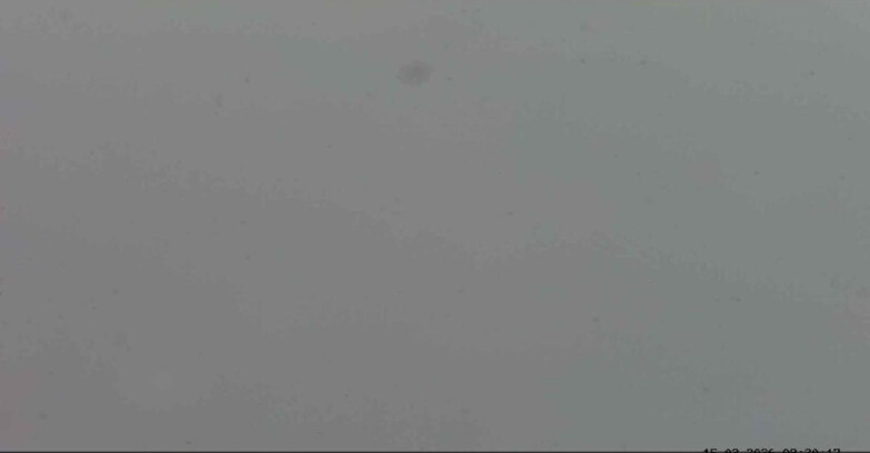 Webcam Passo San Pellegrino-Falcade  - Costabella - Cima Uomo