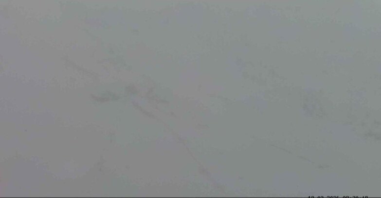 Webcam Пассо Сан-Пеллегрино-Фалькаде  - Costabella - Cima Uomo