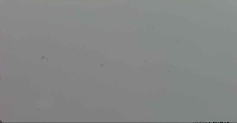 Webcam Passo San Pellegrino-Falcade  - Costabella - Cima Uomo