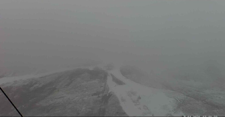 Webcam Passo San Pellegrino-Falcade  - Costabella - Cima Uomo