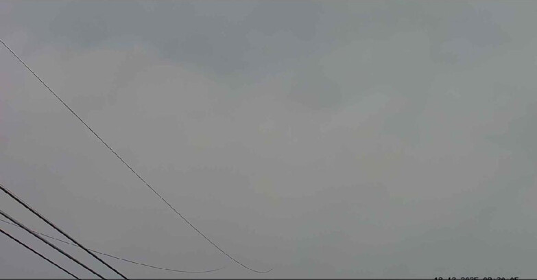 Webcam Passo San Pellegrino-Falcade  - Arrivo Seggiovia