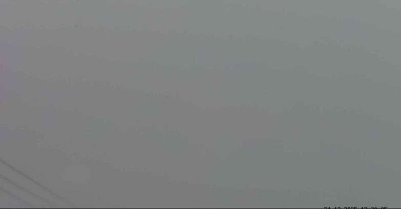 Webcam Passo San Pellegrino-Falcade  - Arrivo Seggiovia