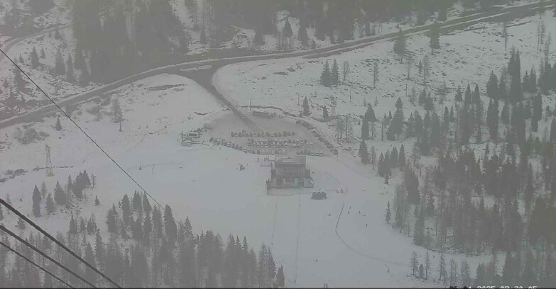 Webcam Passo San Pellegrino-Falcade  - Arrivo Seggiovia