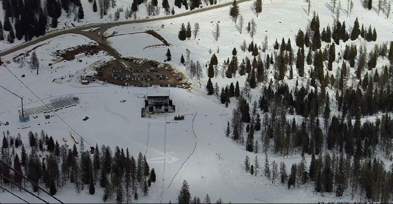 Webcam Passo San Pellegrino-Falcade  - Arrivo Seggiovia
