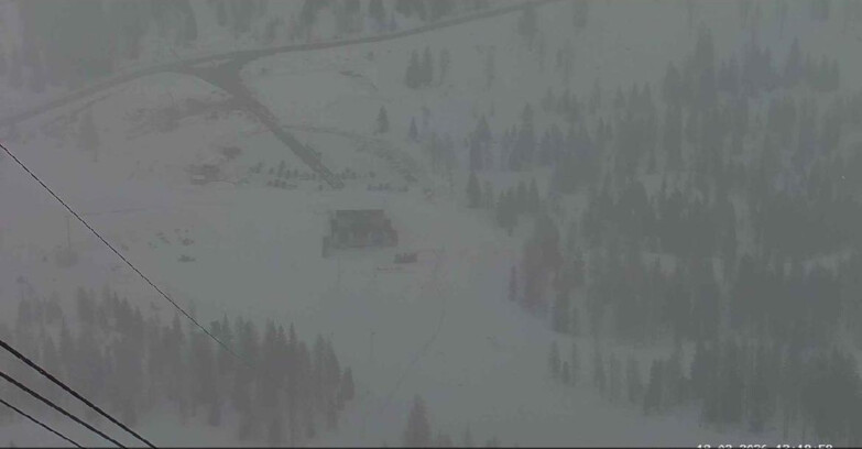 Webcam Passo San Pellegrino-Falcade - Arrivo Seggiovia