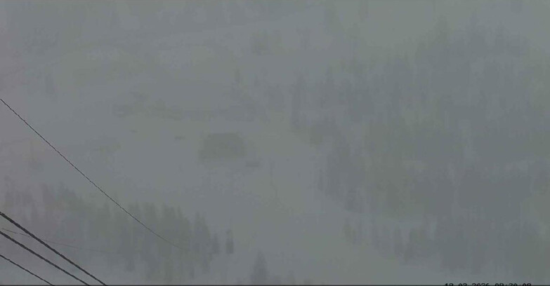 Webcam Passo San Pellegrino-Falcade - Arrivo Seggiovia