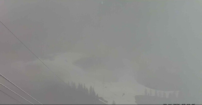Webcam Passo San Pellegrino-Falcade  - Arrivo Seggiovia