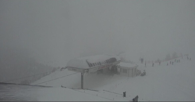 Webcam Moena-Alpe Lusia  - Alpe Lusia - Le cune