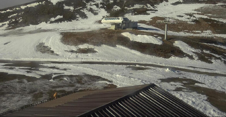 Webcam Moena-Alpe Lusia  - Alpe Lusia - Le cune