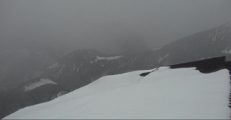 Webcam Moena-Alpe Lusia  - Intermedia