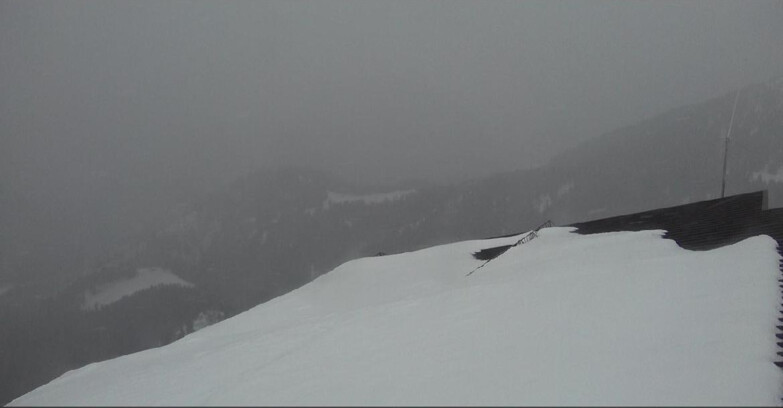 Webcam Moena-Alpe Lusia  - Intermedia