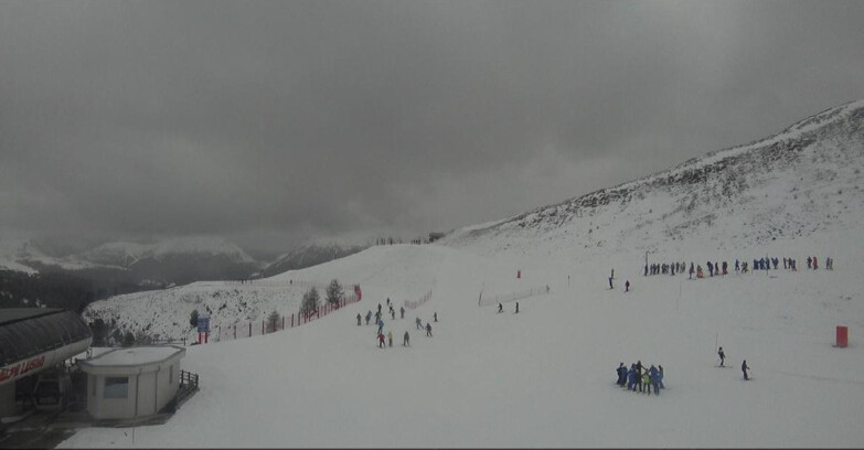 Webcam Белламонте-Альпе-Лусиа  - Bellamonte Alpe Lusia - Le Cune