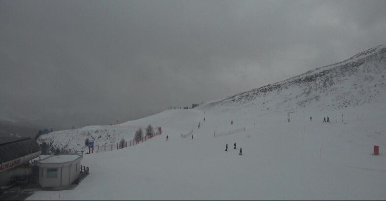 Webcam Белламонте-Альпе-Лусиа  - Bellamonte Alpe Lusia - Le Cune