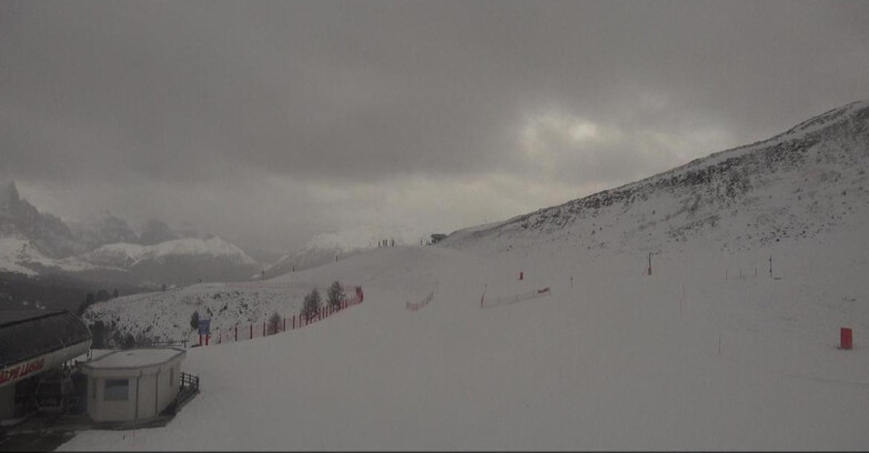 Webcam Белламонте-Альпе-Лусиа  - Bellamonte Alpe Lusia - Le Cune