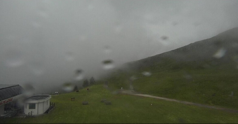 Webcam Bellamonte-Alpe Lusia  - Bellamonte Alpe Lusia - Le Cune