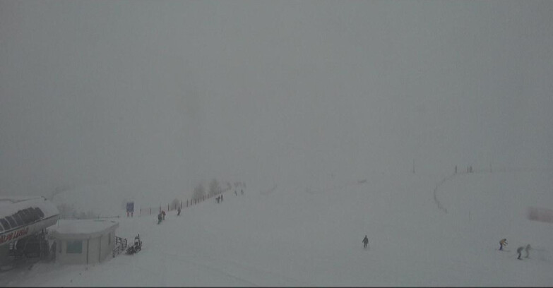 Webcam Bellamonte-Alpe Lusia  - Bellamonte Alpe Lusia - Le Cune