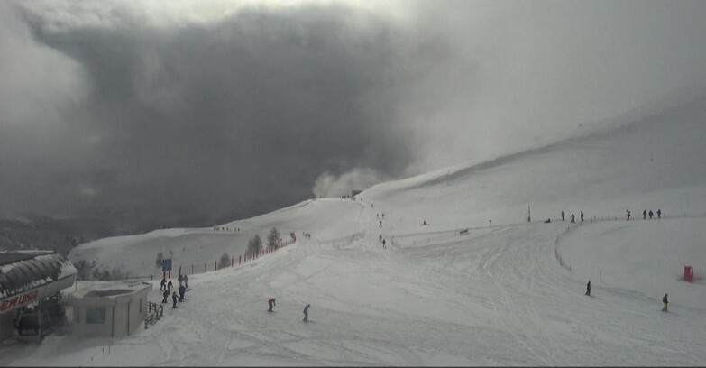 Webcam Bellamonte-Alpe Lusia  - Bellamonte Alpe Lusia - Le Cune