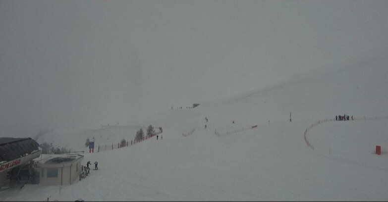 Webcam Bellamonte-Alpe Lusia  - Bellamonte Alpe Lusia - Le Cune