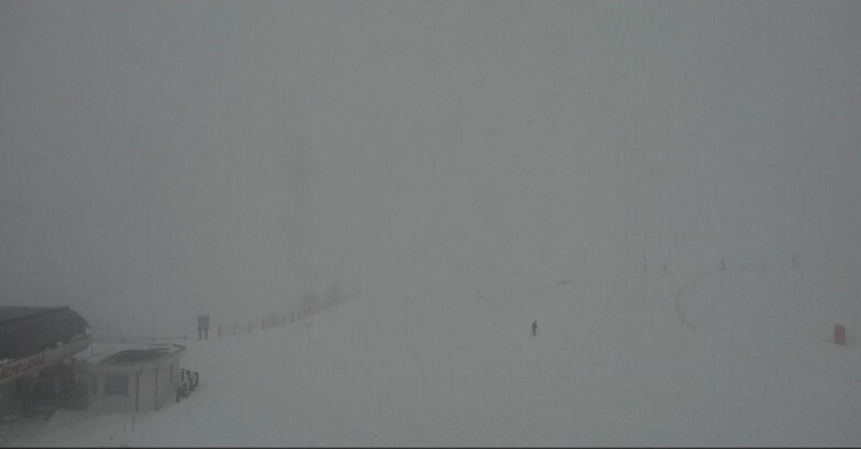 Webcam Bellamonte-Alpe Lusia  - Bellamonte Alpe Lusia - Le Cune