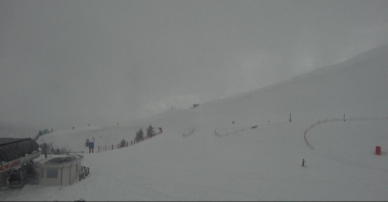 Webcam Bellamonte-Alpe Lusia  - Bellamonte Alpe Lusia - Le Cune