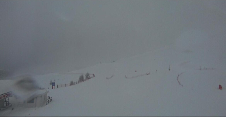 Webcam Bellamonte-Alpe Lusia  - Bellamonte Alpe Lusia - Le Cune