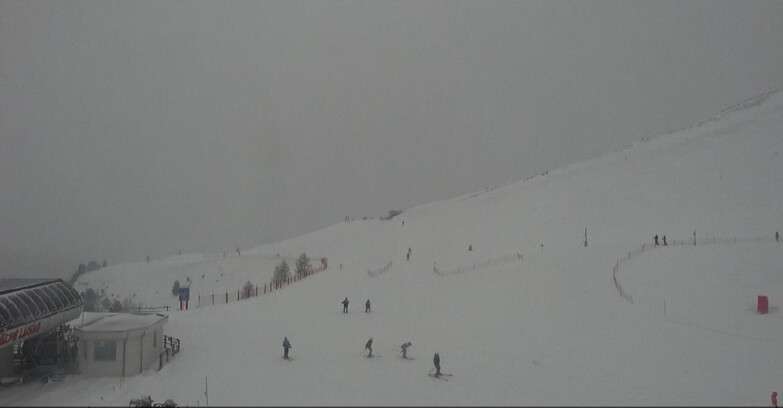 Webcam Bellamonte-Alpe Lusia  - Bellamonte Alpe Lusia - Le Cune