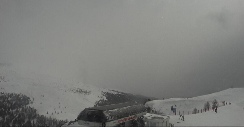 Webcam Bellamonte-Alpe Lusia  - Bellamonte Alpe Lusia - Le Cune