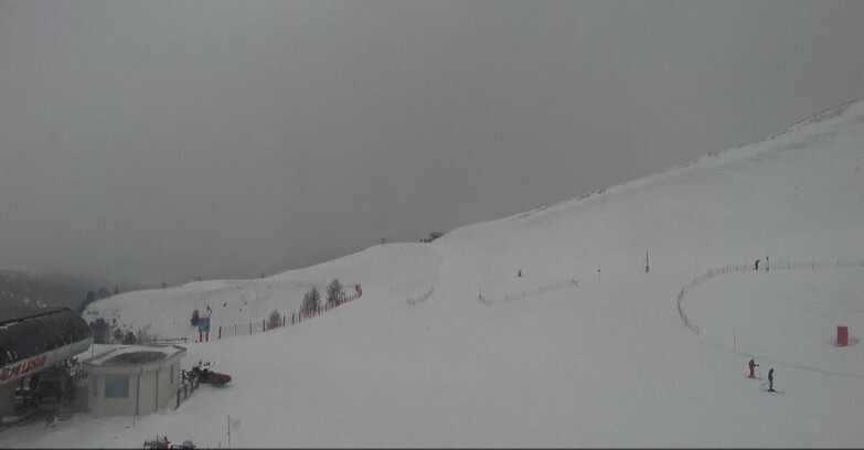Webcam Bellamonte-Alpe Lusia  - Bellamonte Alpe Lusia - Le Cune