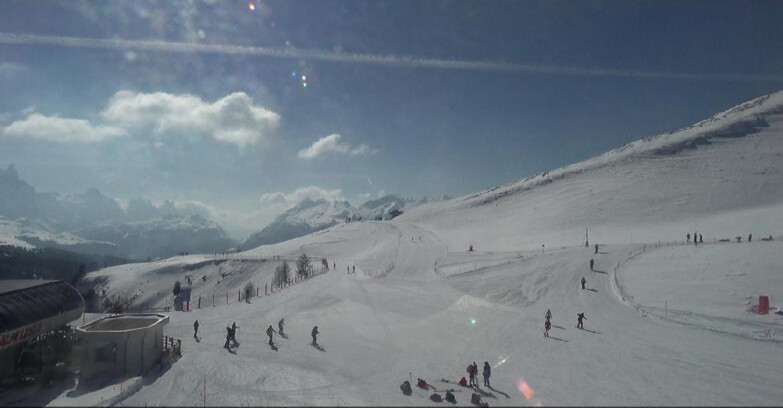 Webcam Белламонте-Альпе-Лусиа  - Bellamonte Alpe Lusia - Le Cune