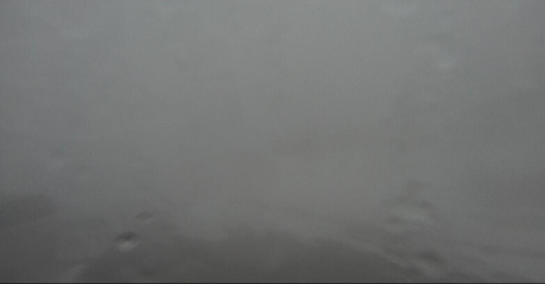 Webcam Bellamonte-Alpe Lusia - Bellamonte Alpe Lusia - Le Cune