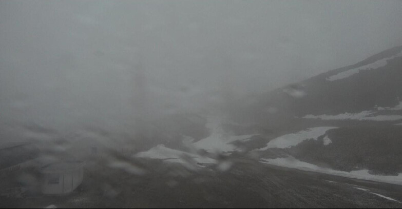 Webcam Bellamonte-Alpe Lusia  - Bellamonte Alpe Lusia - Le Cune
