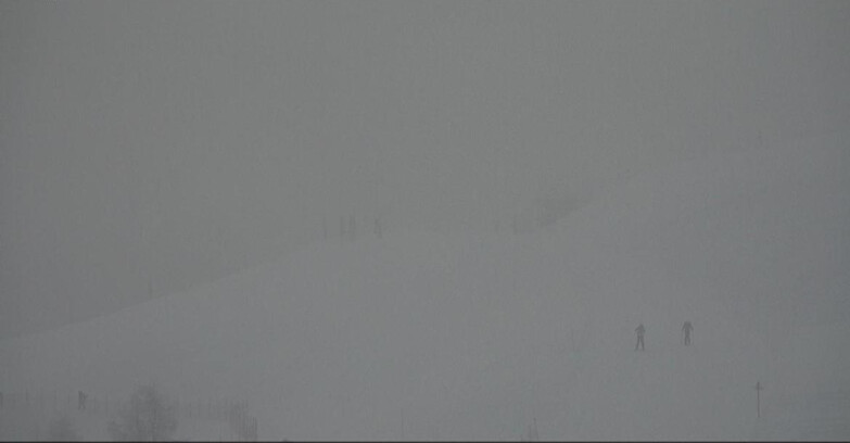Webcam Moena-Alpe Lusia  - Arrivo seggiovia Campo-Cune