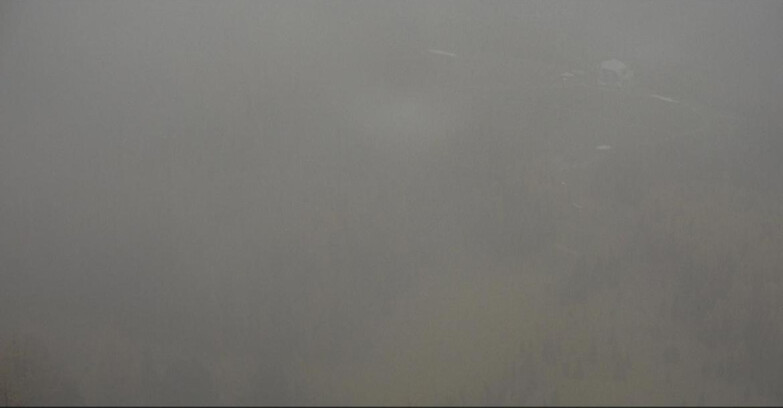 Webcam Moena-Alpe Lusia  - Pivac Piste