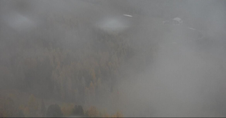 Webcam Moena-Alpe Lusia  - Pivac Piste