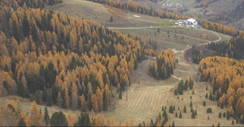 Webcam Moena-Alpe Lusia  - Pista Piavac