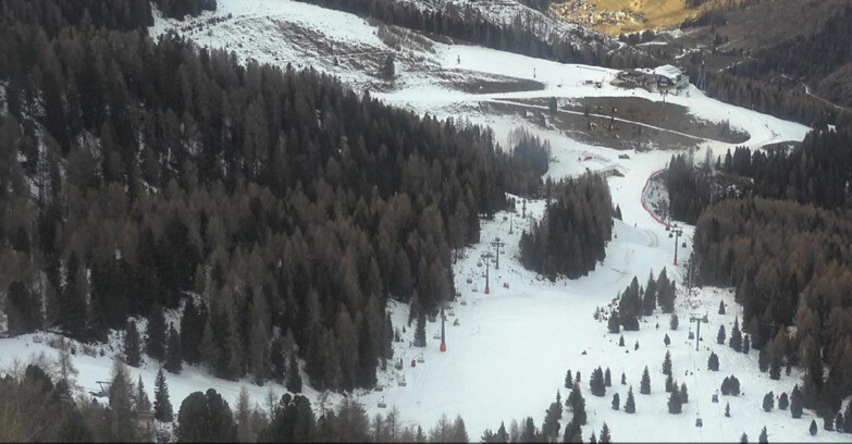 Webcam Moena-Alpe Lusia  - Pista Piavac